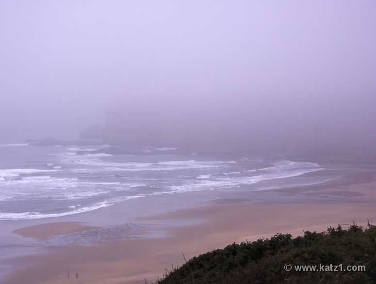 In The Mist